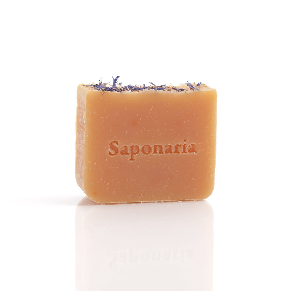 SAPONARIA - Honeysuckle