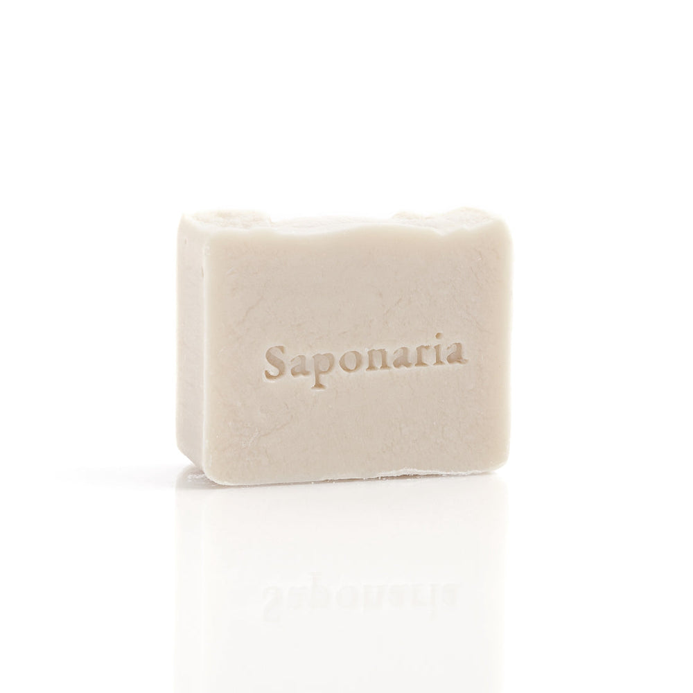 SAPONARIA - Fresh cotton