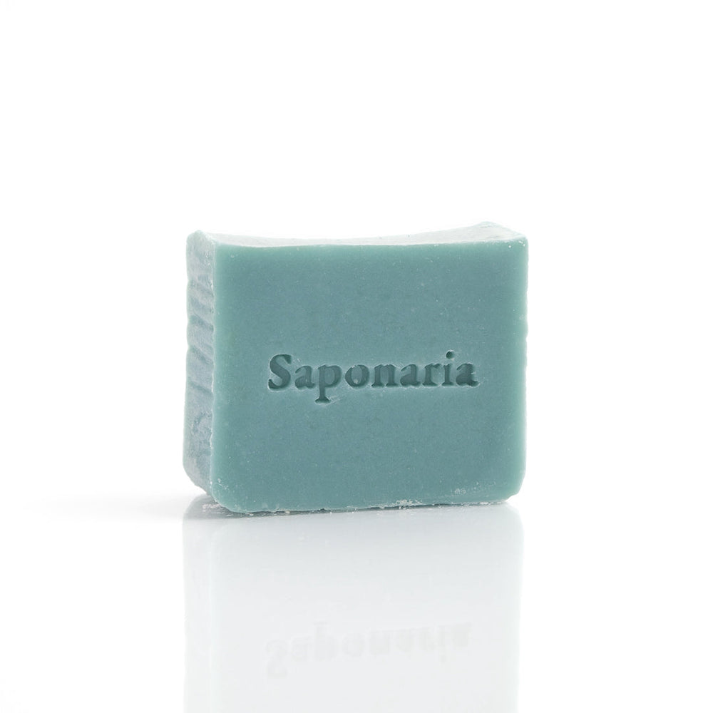 SAPONARIA - Eucalyptus