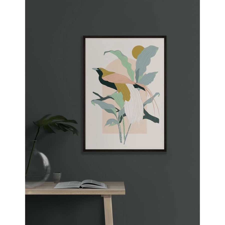 Illustration - Bird-of-paradise