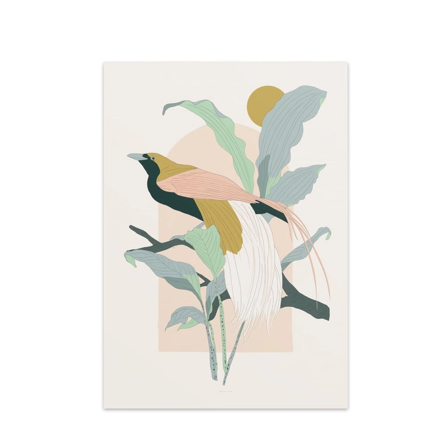 Illustration - Bird-of-paradise