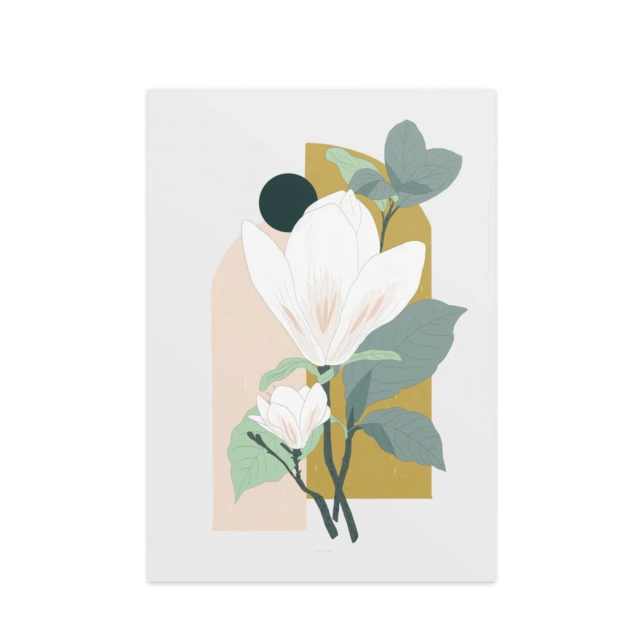 Illustration - Magnolia