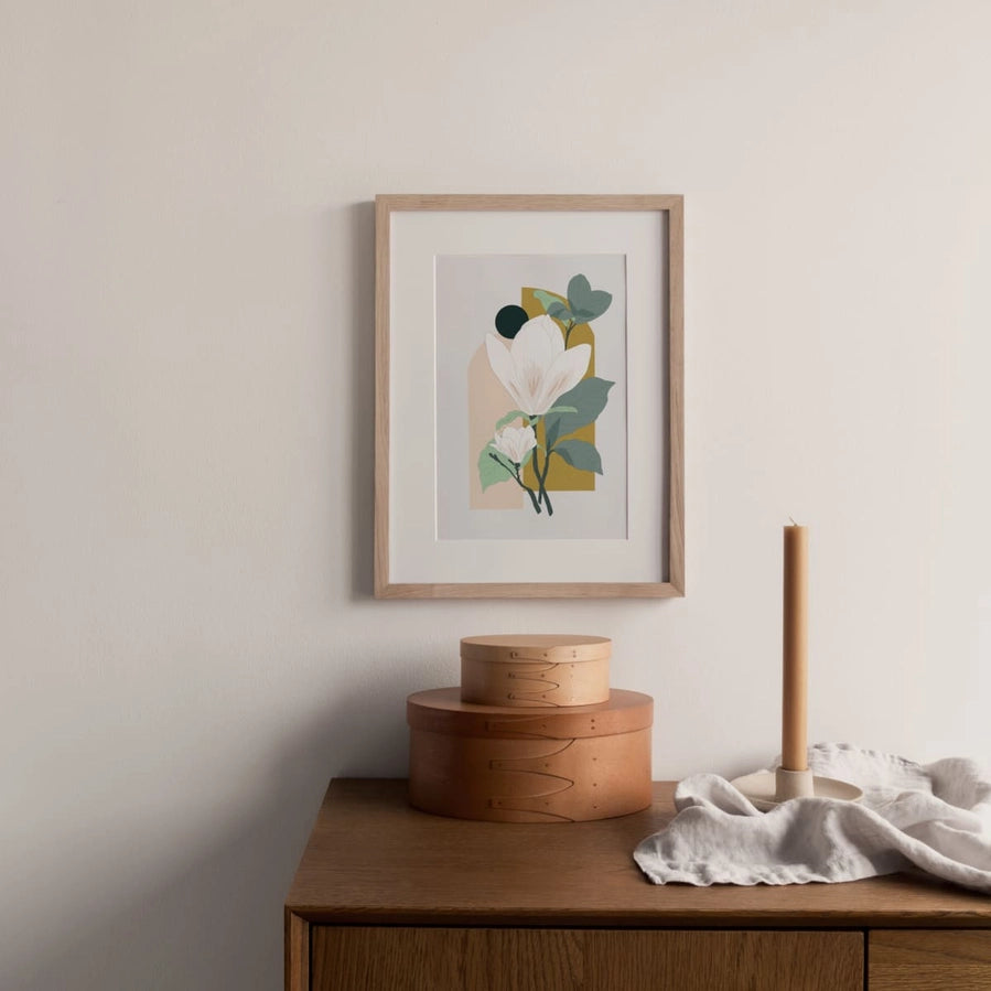 Illustration - Magnolia